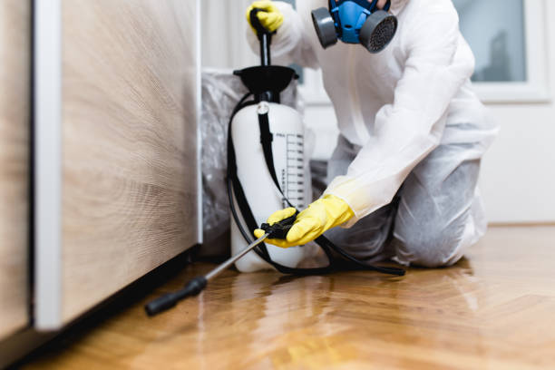 Wildlife Control Services in Farmers Branch, TX