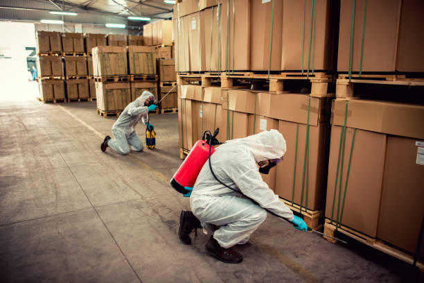 Best Best Pest Control Companies  in Farmers Branch, TX