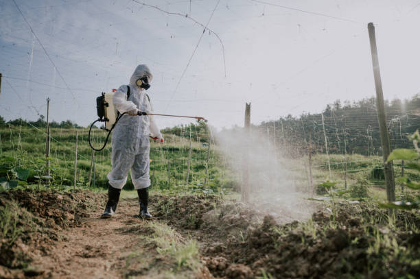 Best Affordable Pest Control Services  in Farmers Branch, TX