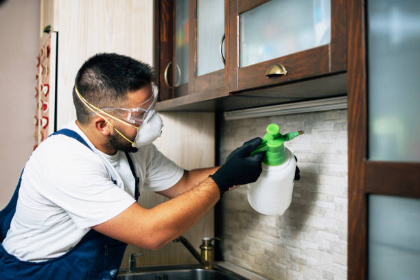 Best Commercial Pest Control Services  in Farmers Branch, TX