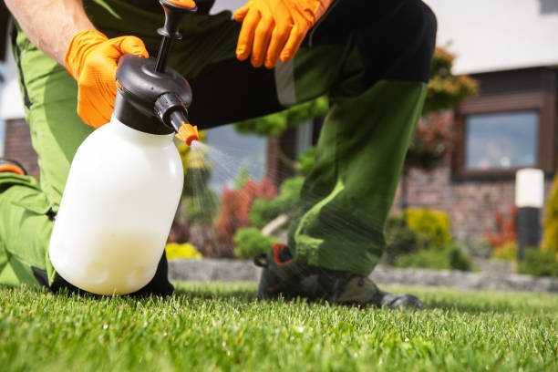 Best Residential Pest Control  in Farmers Branch, TX