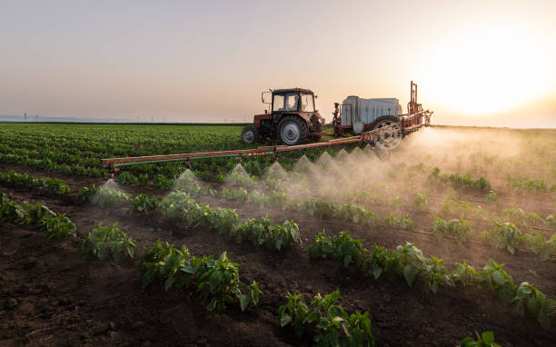 Trusted Farmers Branch, TX Pest Control Experts