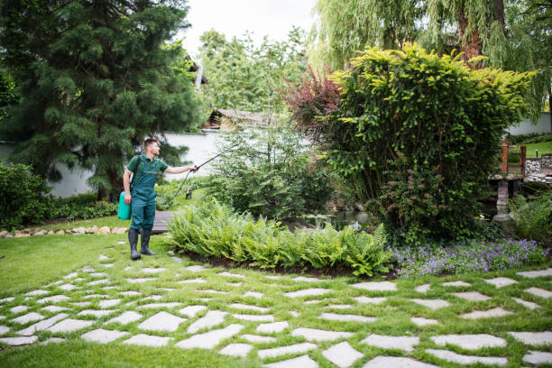 Best Pest Control Near Me  in Farmers Branch, TX