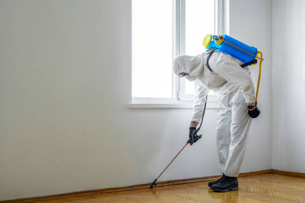 Best Best Pest Control Companies  in Farmers Branch, TX