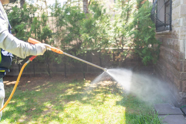 Spider Control Near Me in Farmers Branch, TX