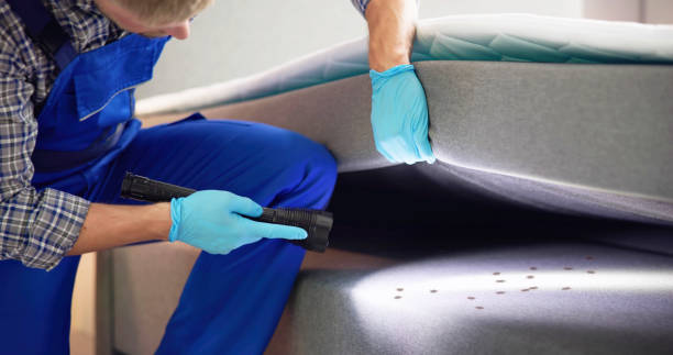 Trusted Farmers Branch, TX Pest Control Experts